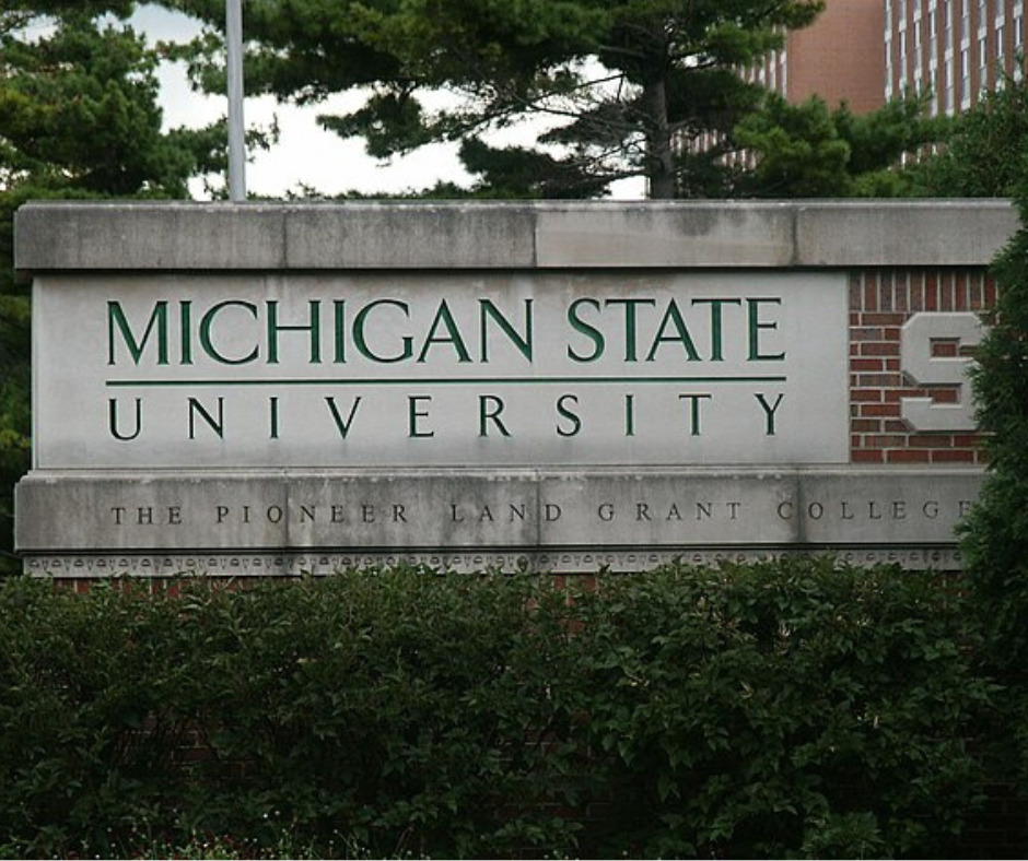 Michigan State University Lansing, MI 48824